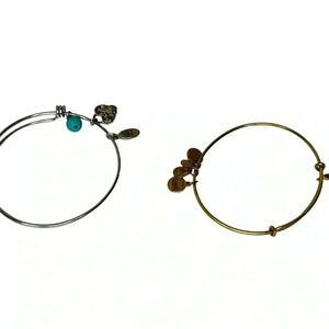 Alex and Ani Gold and silver charm bracelets women’s jewelry